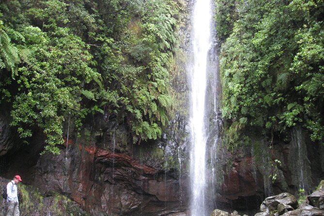 Rabaçal / Risco / 25 Fountains Full-day walk - Stop 1: Laurisilva forest atmosphere and what to look for