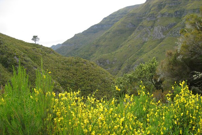 Rabaçal / Risco / 25 Fountains Full-day walk - What makes this route special, beyond the famous name