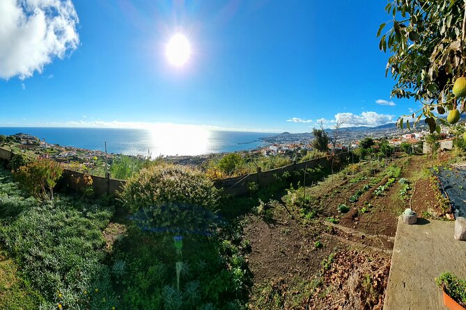 "Re-Canto" Farm-to-Table with Stunning Views at Madeira - The sunset over Funchal: why 6:00 pm is a smart choice