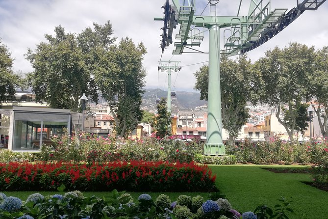Real Life, Mountains & Sea Cliffs + Lunch + Levada walk - 6 hours - Private UMM Jeep Day Trips in Madeira: What the Format Really Gives You