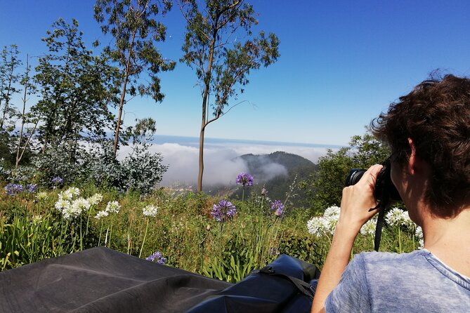 Real Life, Mountains & Sea Cliffs + Lunch + Levada walk - 6 hours - Funchal Streets and the Barreiros Stadium Area: Your Quick Island Orientation