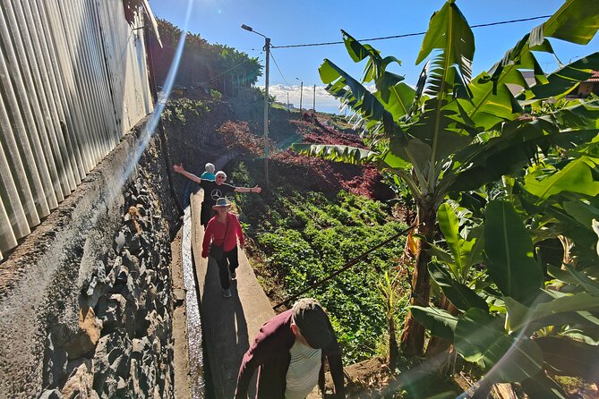 Real Life, Mountains & Sea Cliffs + Lunch + Levada walk - 6 hours - Câmara de Lobos and Estreito Valley: Vineyards, Banana Hills, and Real Life