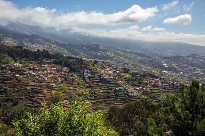 Real Life, Mountains & Sea Cliffs (Nun´s Valley View) - Half Day 4x4 Tour - Why this half-day feels like a real Madeira morning