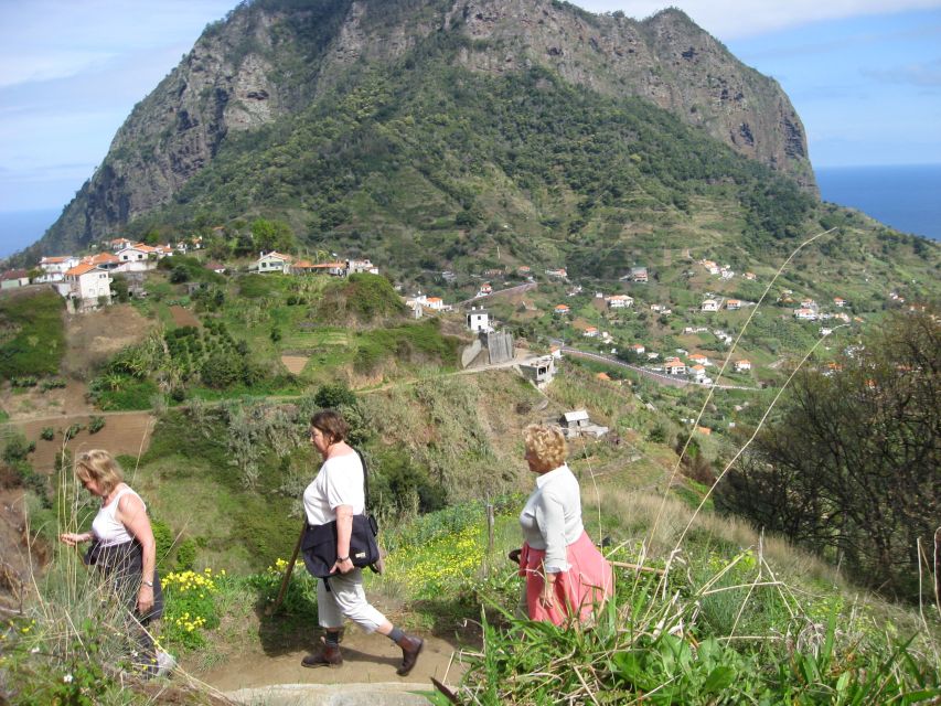 Referta & Castelejo: Half-Day Morning Walk - Porto da Cruz viewpoints, where the north coast feels close