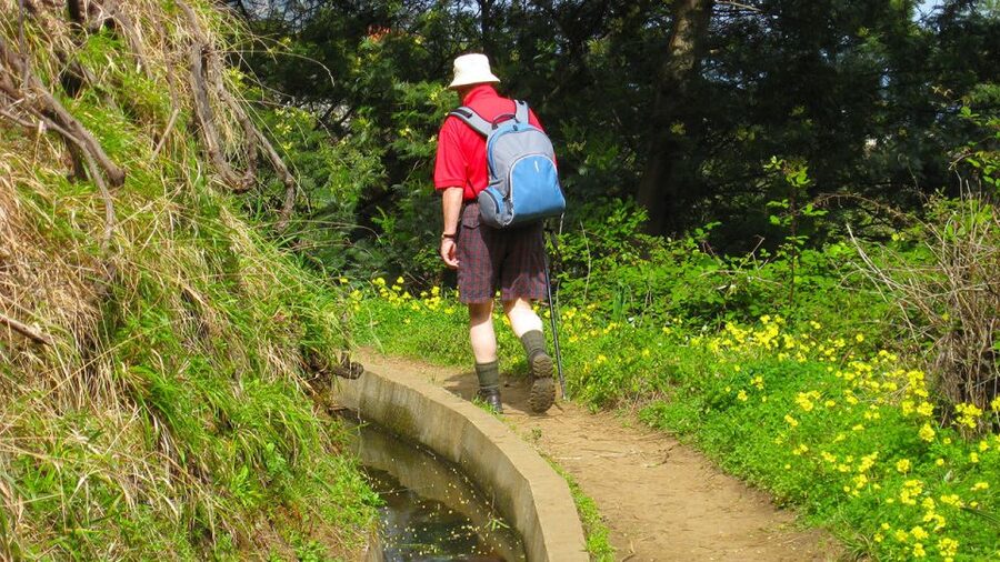 Referta / Castelejo - Levada Walk - A calm, easy Madeira walk with big viewpoints