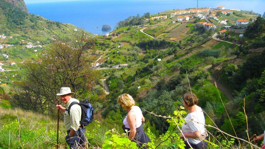 Referta / Castelejo - Levada Walk - Midway along the route: endemic spotting and old-style work