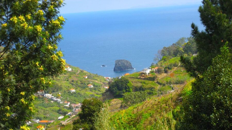 Referta / Castelejo - Levada Walk - Finish near Porto da Cruz: poncha, cake, and a real end-of-walk break