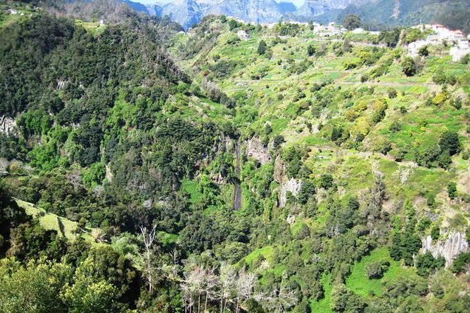 Referta Castelejo Levada Walk from Funchal - Morning Start With Pickup From Funchal