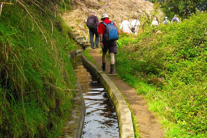 Referta Castelejo Levada Walk from Funchal - Rock of Penha d’Aguia Views Over Farms and Houses
