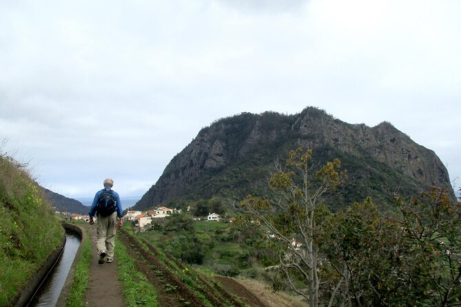 Referta - Castelejo Walk - Live commentary with Rodrigues: flora aromas and flavours