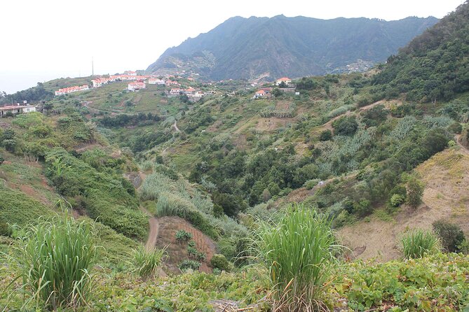 Referta - Castelejo Walk - Levada do Castelejo: what the 2 hours actually feels like