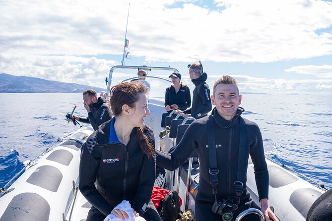 Responsible Whales and/or Dolphins Watching Tour - Price and Value: Is 59.28 USD Worth It?