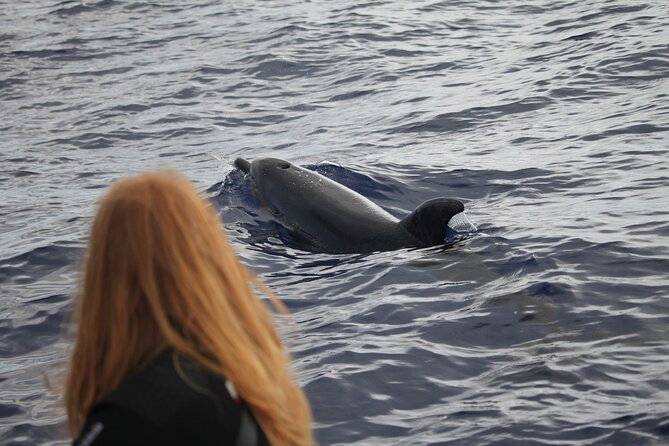Responsible Whales and/or Dolphins Watching Tour - Practical Tips That Make the Tour Feel Better