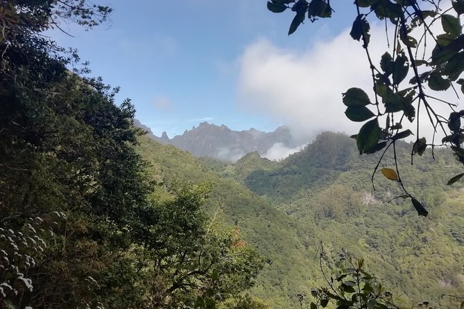 Ribeiro Frio - Portela - Pickup and round-trip transfer from Funchal, the underrated time saver