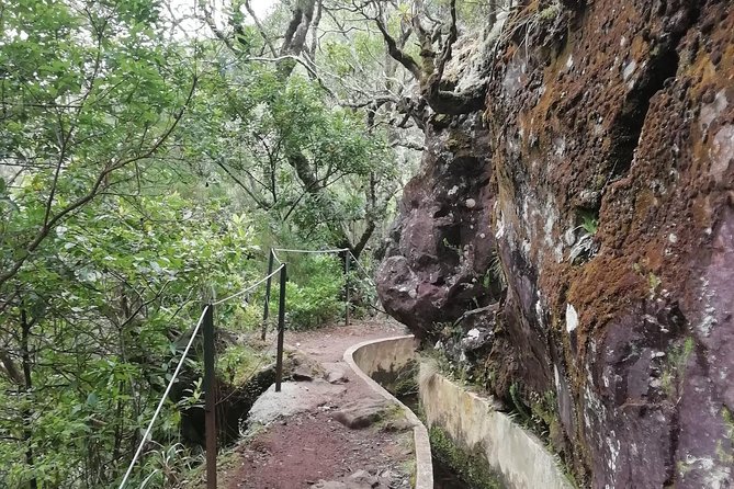 Ribeiro Frio - Portela - Price and what you’re actually buying for about $54