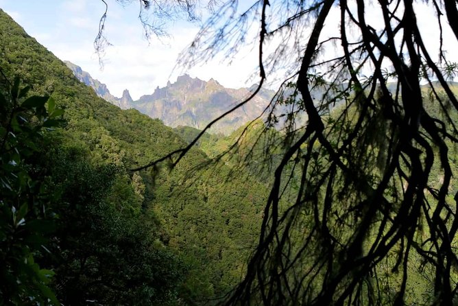 Ribeiro Frio - Portela - Who should book this Madeira Free Spirit walk