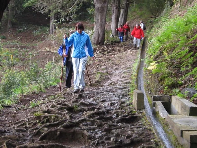 Ribeiro Frio / Portela Full day hike - Getting There and Timing Your Day Without Stress