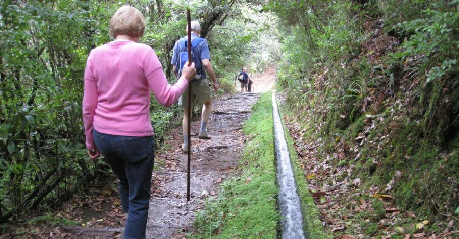 Ribeiro Frio / Portela - Levada Walk - Group day experience: what the guide adds to the walk