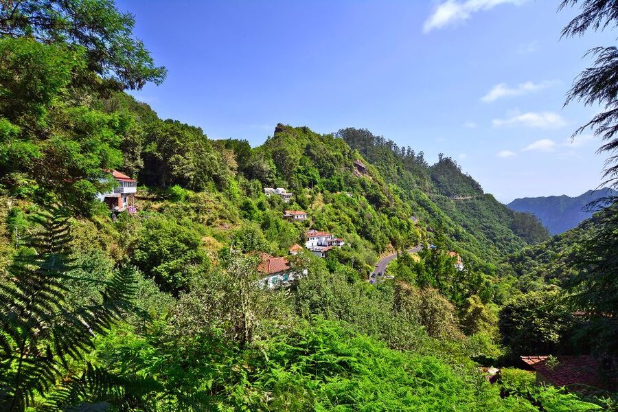 Ribeiro Frio / Portela - Levada Walk - Ribeiro Frio to Lamaceiros: why this levada walk is so famous