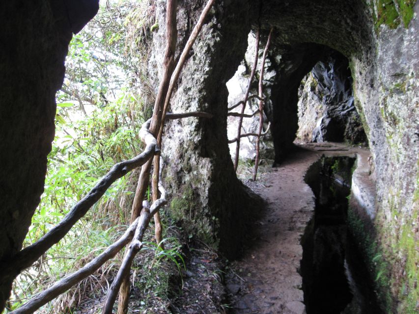 Ribeiro Frio / Portela - Levada Walk - Walking beside the levada: light, shade, and endemic life