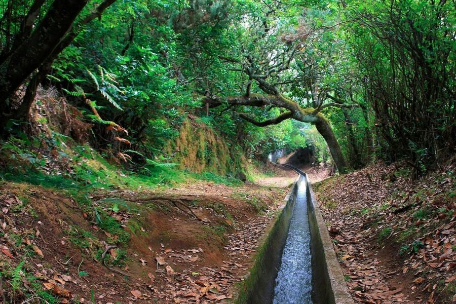 Ribeiro Frio / Portela - Levada Walk - Price and value: is $50 per person worth it?