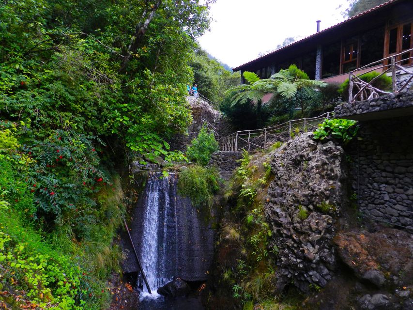 Ribeiro Frio / Portela - Levada Walk - What to bring: food, water, and a no-surprises walking plan