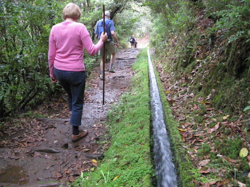 Ribeiro Frio / Portela - Levada Walk - Starting the day near Ribeiro Frio: garden atmosphere and trout pond views