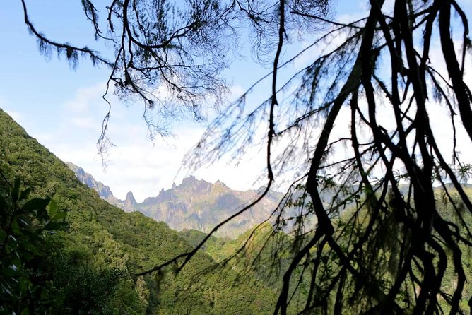 Ribeiro Frio - Portela - The 11 km levada walk: plants, birds, and the Eagle Rock views