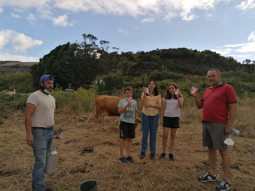 Sao Jorge Cheese Tour - Half day - Uniqueijo in Calheta: seeing São Jorge DOP move from tradition to production