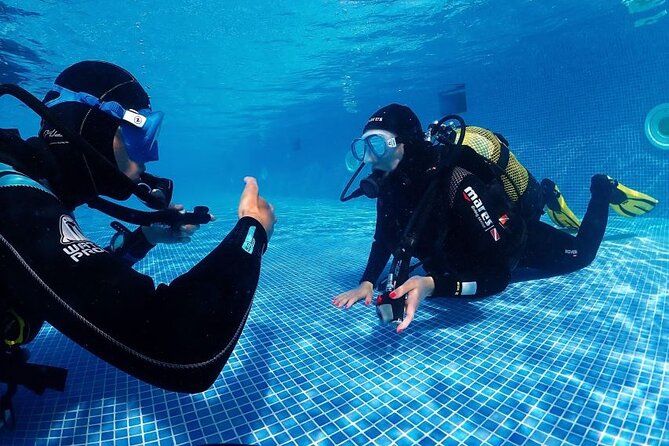 Scuba Diving Experience for Beginners in Ponta de São Lourenço - Getting started at Ponta de São Lourenço, the beginner-friendly way