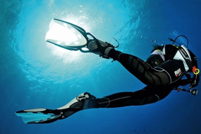 Scuba Diving Experience for Beginners in Ponta de São Lourenço - The reef experience: what you can realistically expect to see