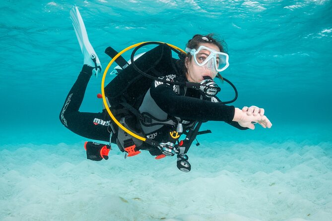 Scuba Diving Experience in Madeira - Classroom theory: how you learn breathing, safety, and control