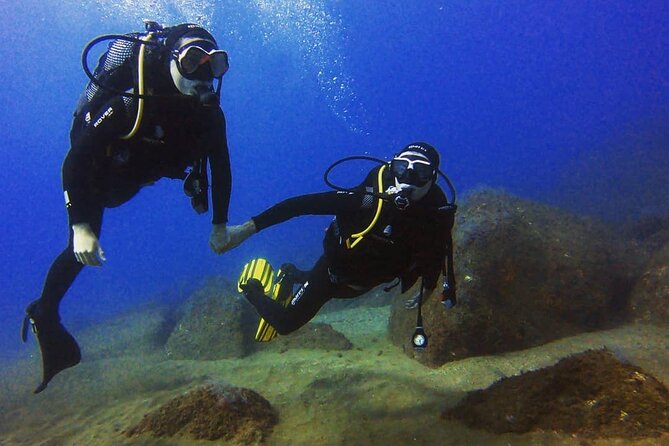 Scuba Diving Experience in Madeira - Pool practice: where first-time comfort gets built
