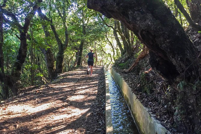 Sea 2 Mountain Running Tour (Moderate-Hard) - Dinarte’s Approach, Route Changes, and the Photos Factor