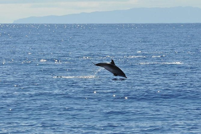 Seaborn Catamaran trips - Practical Odds and Ends That Can Make or Break Your Trip