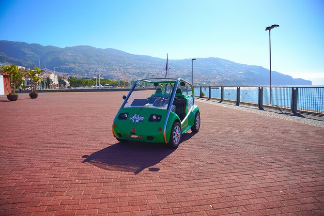 Self-Guided Sightseeing Tour on an Eletric Car | Funchal - Câmara de Lobos: sea lions, Xavelhas boats, and time to slow down