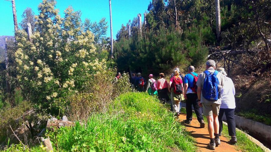 Serra de Água Valley Levada Walk - Serra de Água Valley, where water, farms, and views meet
