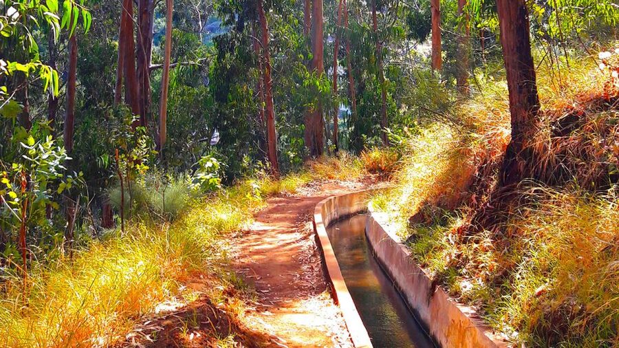 Serra de Água Valley Levada Walk - How the guide brings the levada system to life
