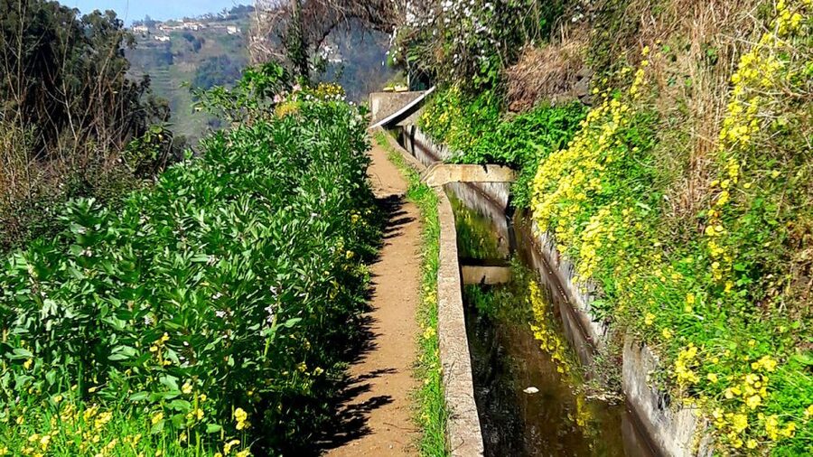 Serra de Água Valley Levada Walk - Views you will actually get, not just from one angle