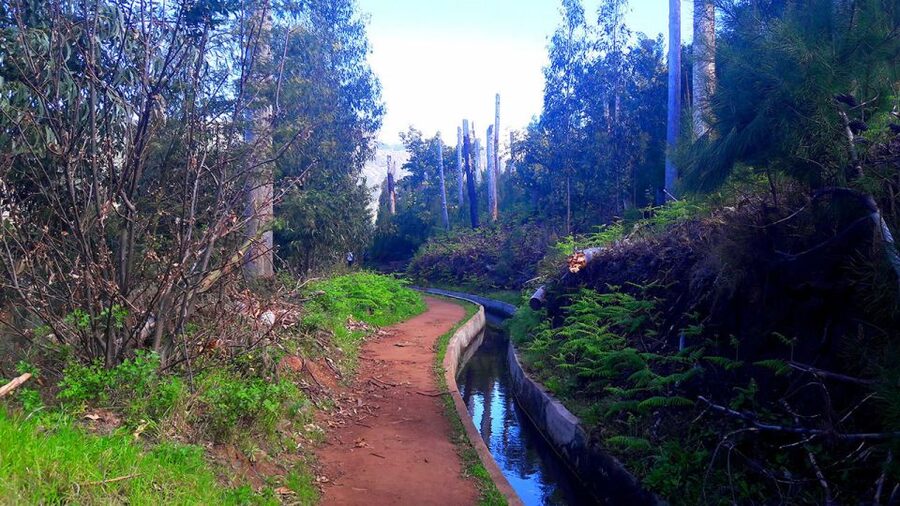 Serra de Água Valley Levada Walk - Transport and pickup: where meeting points matter