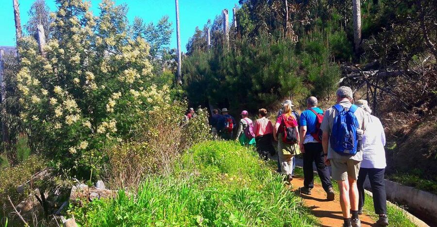 Serra de Água Valley Levada Walk - Your 5 km levada route: easy effort, real-world footing