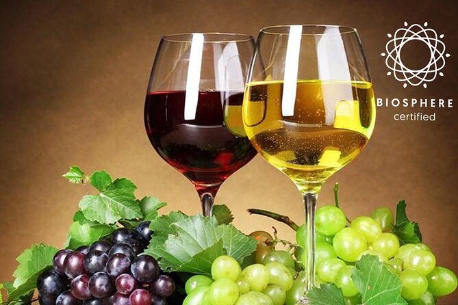 Signature Wine Tastings, Skywalk, Nature 4x4 Open Roof Expedition - What This 4x4 Wine Day Gets Right for Most People