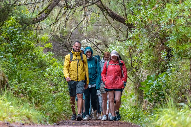 Skywalk 4x4 Experience and Rabacal 25 Fountains Levada Walk - Stop 1: The Rabacal 25 Fontes levada walk and Cascada da Risco