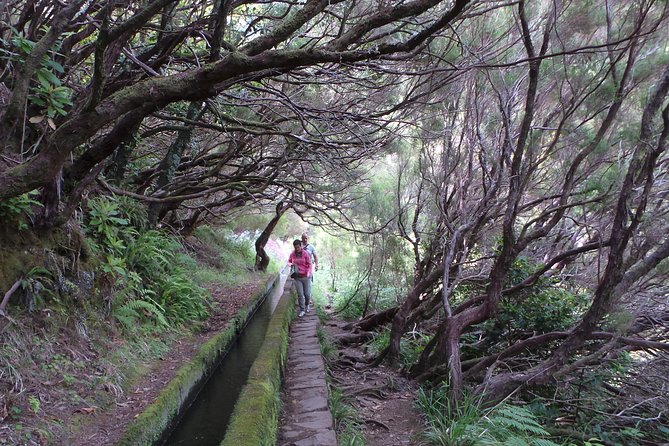 Skywalk 4x4 Experience and Rabacal 25 Fountains Levada Walk - Your guide can make or break the day, and here you’re in good hands