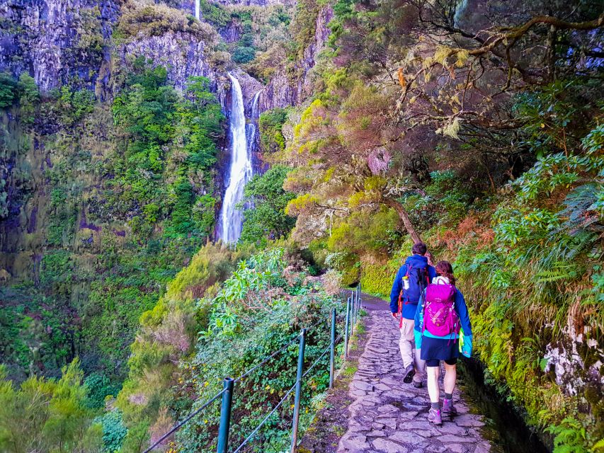 Small Group Walks Rabaçal 25 Fontes - Rabaçal to 25 Fontes: what makes this levada hike special