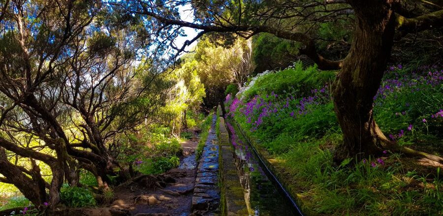 Small Group Walks Rabaçal 25 Fontes - Tunnel section and step climbs: how hard is it, really