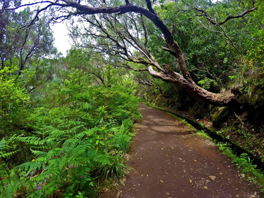 Small Group Walks Rabaçal 25 Fontes - What to bring: waterproof setup and tunnel comfort
