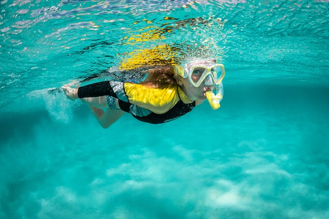 Snorkelling Trip at Ponta de São Lourenço Protected Area - Key Highlights You Should Know Before You Go