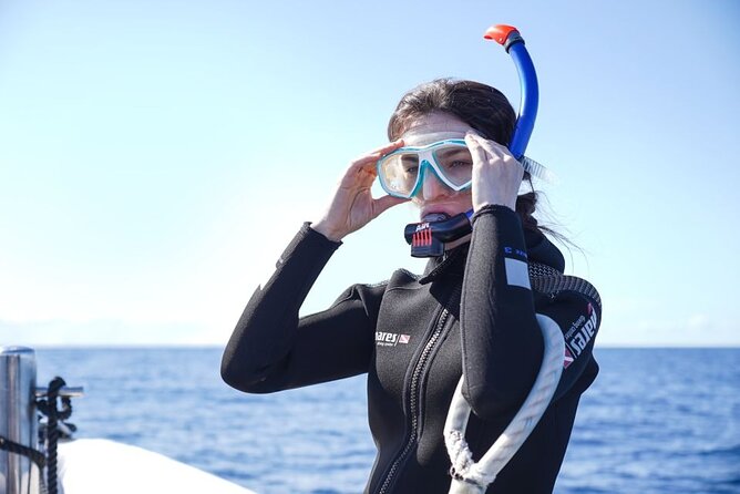 Snorkelling Trip at Ponta de São Lourenço Protected Area - Getting Ready: Gear, Wetsuits, and First-Timer Confidence