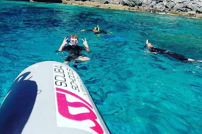 Snorkelling Trip at Ponta de São Lourenço Protected Area - What If You Only Want to Swim and Not Learn?